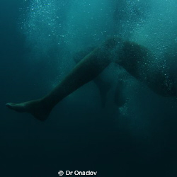 There photos were captured recently on Lizard Island. I w... by Caitilin De Berigny Wall 